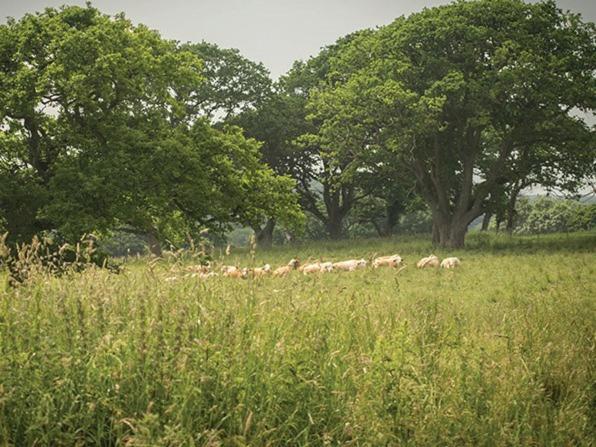 The Walhampton Arms Bed and Breakfast Lymington Εξωτερικό φωτογραφία